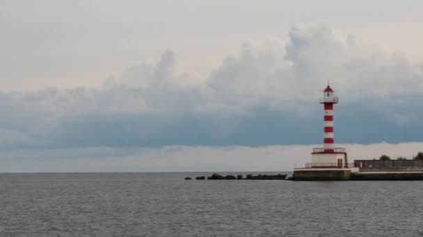 Deniz feneri. Deniz Burnu. Suyun üstündeki kuşlar, sudan çıkan kayalar. Zaman Hızı görüntüsü. — Stok video