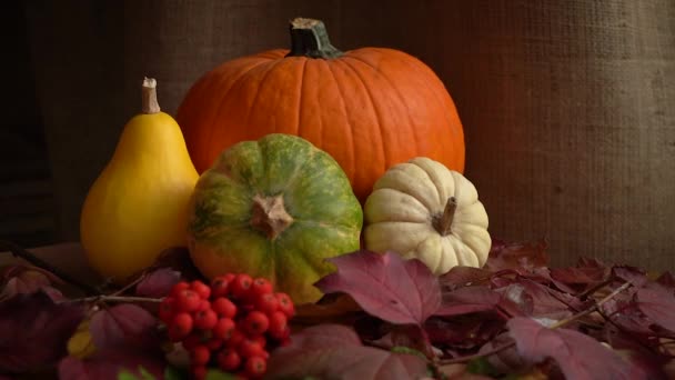 Zusammensetzung von Kürbissen und Herbstblättern. Fallende Herbstblätter in Zeitlupe. Herbstliches Stillleben. Halloween-Feiertag. — Stockvideo