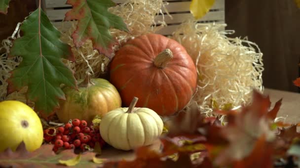 Kamerarörelse på en sammansättning av pumpor och höstlöv. Fallande höstlöv. Hösten lever fortfarande. Halloween semester. — Stockvideo