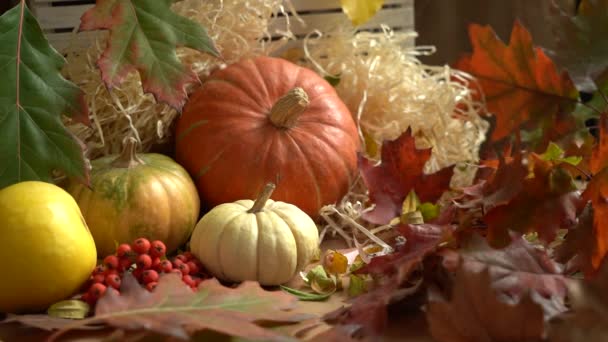 Camera movement on a composition of pumpkins and autumn leaves. Falling autumn leaves in slow motion. Autumn still life. Halloween holiday. — Stock Video