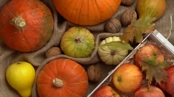 Composição de abóbora, maçã, nozes e folhas de outono. Caindo folhas de outono em câmera lenta. Outono ainda vida vista superior. Férias de Halloween. — Vídeo de Stock