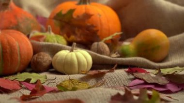 Kabak, ceviz ve sonbahar yapraklarından oluşan bir kompozisyonda kamera hareketi. Sonbahar hala hayattır. Cadılar Bayramı.