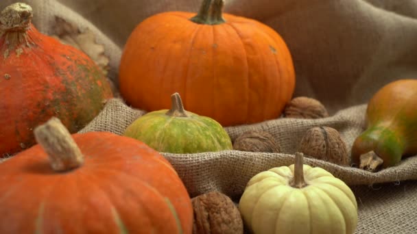 Sammansättning av pumpa, valnötter och höstlöv. Fallande höst lämnar i slow motion. Hösten lever fortfarande. Halloween semester. — Stockvideo