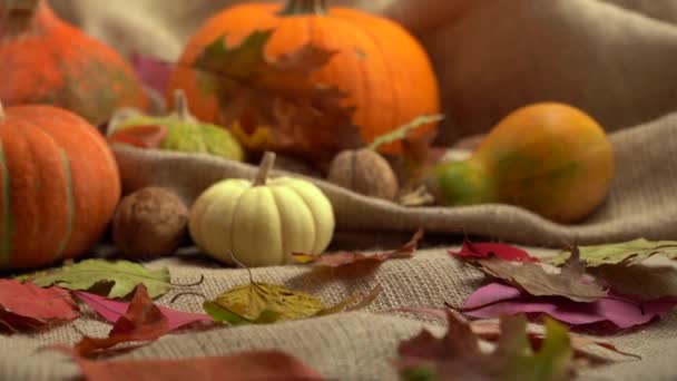 Kamerabewegung auf einer Komposition aus Kürbissen, Walnüssen und Herbstblättern. Herbstliches Stillleben. Halloween-Feiertag. — Stockvideo