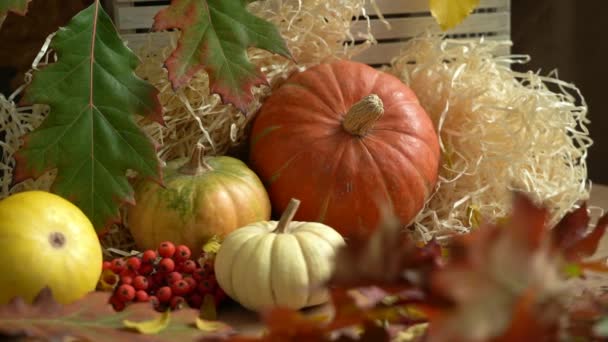 Camera movement on a composition of pumpkins and autumn leaves. Falling autumn leaves. Autumn still life. Halloween holiday. — Stock Video