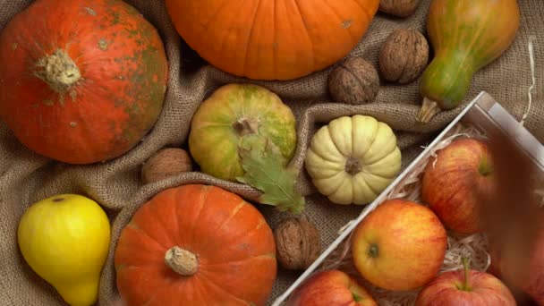Sammansättning av pumpa, äpple, valnötter och höstlöv. Fallande höst lämnar i slow motion. Hösten fortfarande liv ovanifrån. Halloween semester. — Stockvideo
