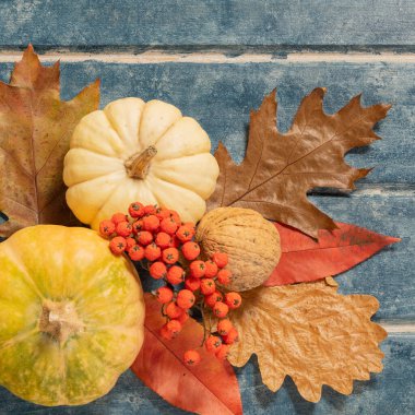 Dekoratif balkabaklı Şükran Günü ahşap arka planı. Sonbahar hala hayattır. Cadılar Bayramı.