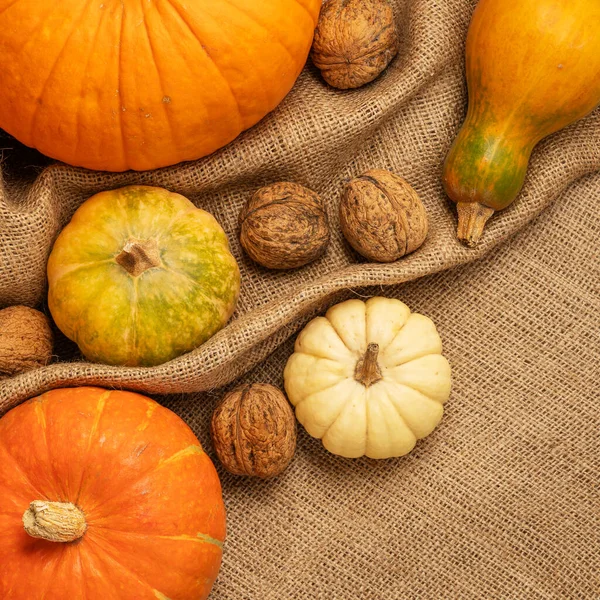 Thanksgiving background with decorative pumpkins on burlap. Autumn still life. Halloween holiday.