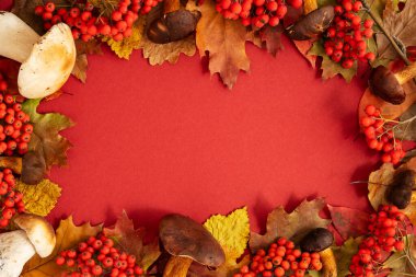 Şükran Günü kırmızı arka plan çerçevesi orman mantarları, yaban mersinleri ve sonbahar yapraklarıyla süslenmiş. Sonbahar hala hayattır. Cadılar Bayramı.