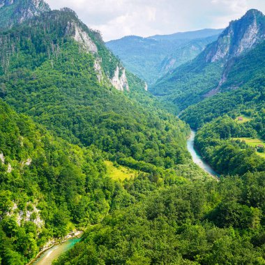 Dağ nehrinde rafting. Rafting dağ akıntısı boyunca. Ekstrem sporlar. Dağ Kanyonu.