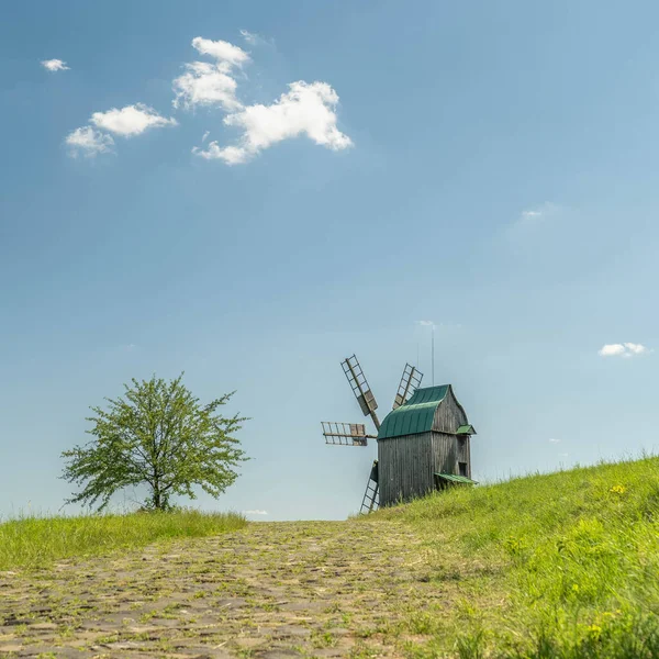 緑の牧草地、フィールド上の古い木造風車。風の中で孤独な緑の木。白い雲と青い空. — ストック写真
