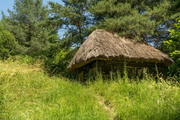 Altes Mittelalterliches Traditionelles Ukrainisches Bauernhaus Auf Einem Hügel Wald — Stockfoto