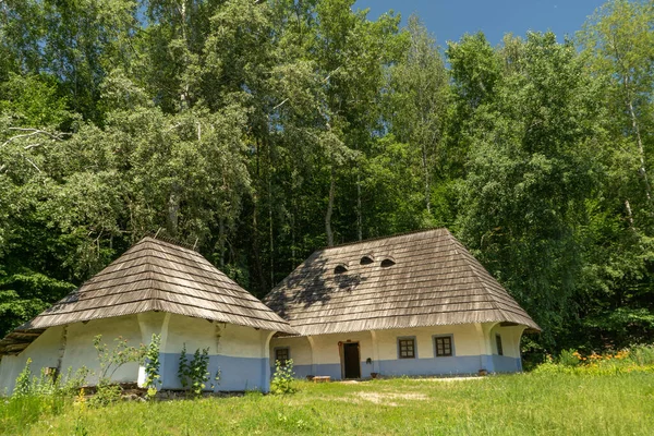 Ortaçağ, Ukrayna 'nın ormandaki bir tepedeki geleneksel kır evleri..