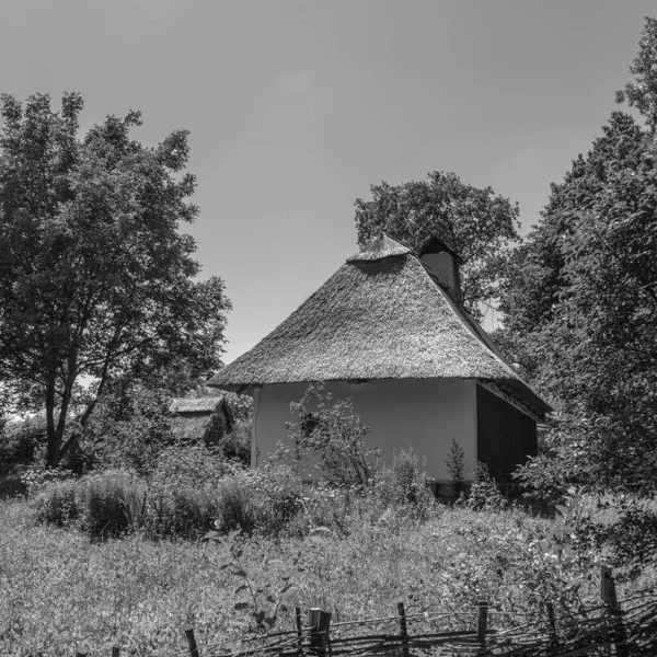 中世纪 传统的乌克兰农村住宅 有柳树篱笆和花卉花园 — 图库照片