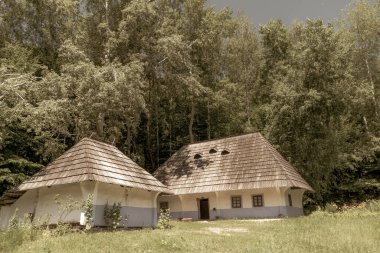 Ortaçağ, Ukrayna 'nın ormandaki bir tepedeki geleneksel kırsal evleri. Eski fotoğraf.