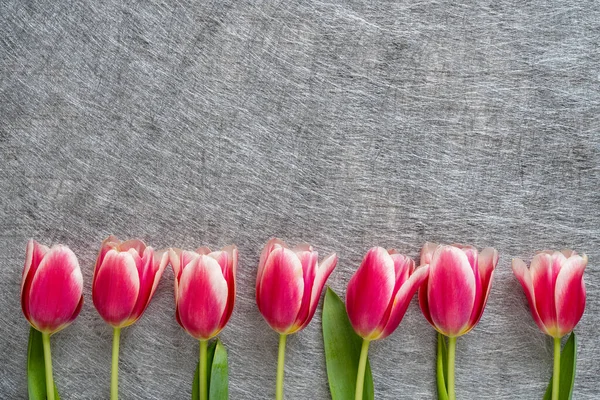 Fundo de primavera com tulipas rosa. Dia das Mães. Dia das mulheres. Cartão de aniversário. Fotografia De Stock