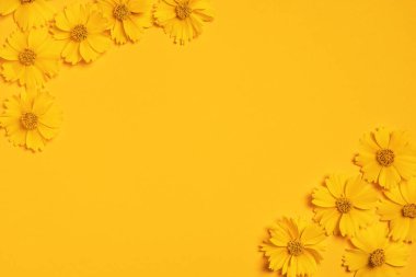 Tebrik çerçevesi, davetiyeler, mesajlar, kartvizitler, sarı papatyalı logo. Daisy parlak sarı bir arka planda. Düz yatıyordu