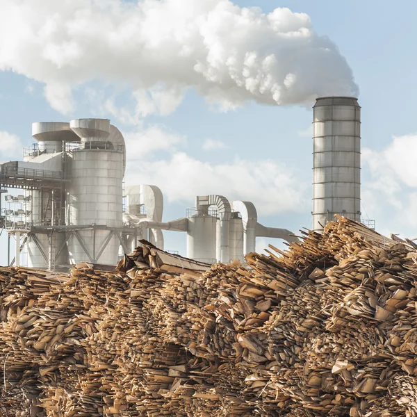 Pali di tronchi e legname in una fabbrica di legname industriale . — Foto Stock