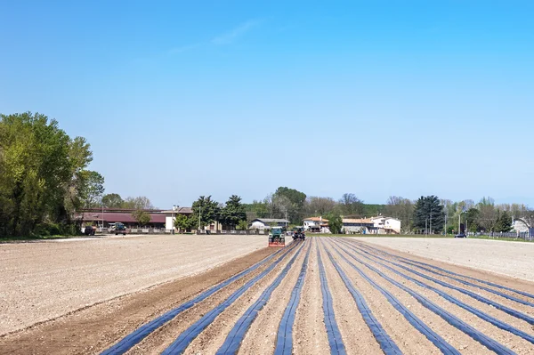 Travaux agricoles sur le terrain — Photo