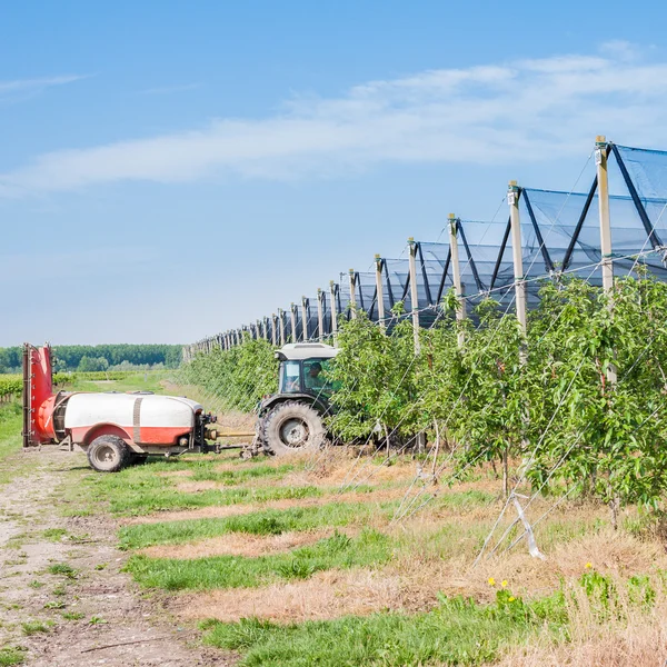 Agricultural work treatment. — Stock Photo, Image