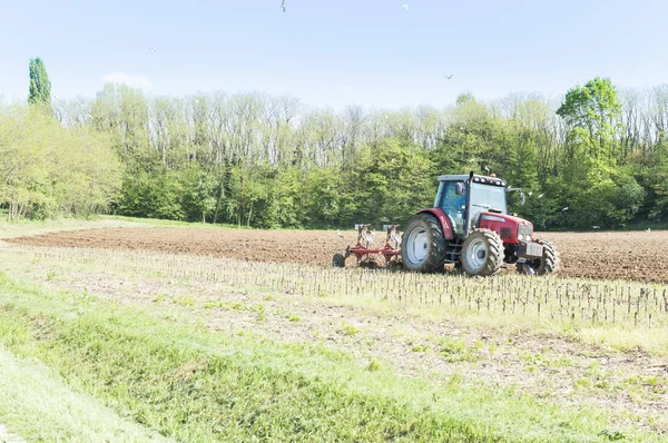 Small scale farming with tractor — Stock Photo, Image