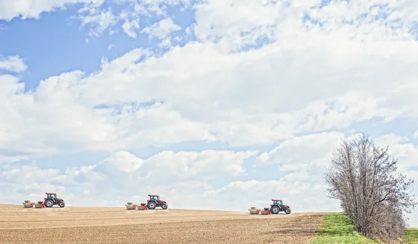 Traktor tömöríti a talaj görgőkkel ültetés után. — Stock Fotó