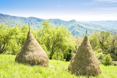 İtalyan Alpleri'nde haystacks ile kırsal manzara