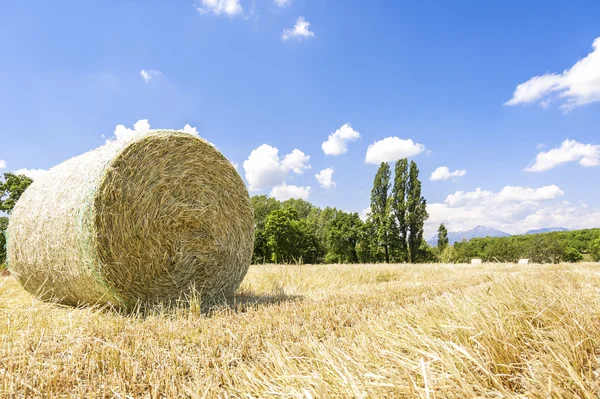 Agricultural landscape.Harvested field with straw bales in summe — Stock Photo, Image