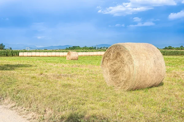 Agricultural landscape with hay bales. — Stock Photo, Image