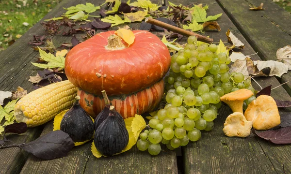 Los frutos del otoño — Foto de Stock