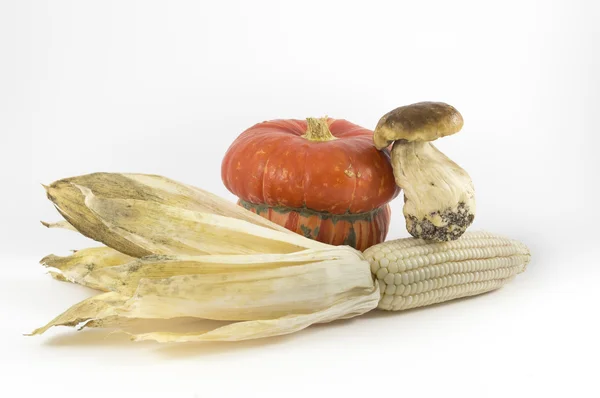 Citrouille, champignon, maïs sur fond blanc — Photo