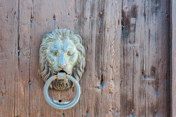 Porta del leone bussare — Foto Stock