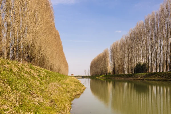 Paisaje río — Foto de Stock