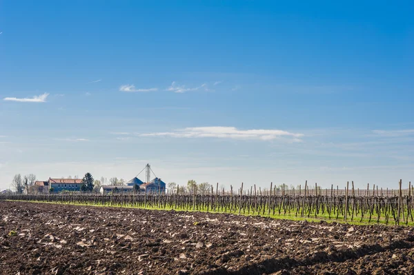 Paesaggio agricolo con azienda agricola — Foto Stock