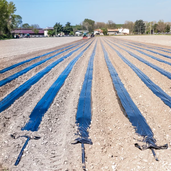 Agricultural work — Stock Photo, Image