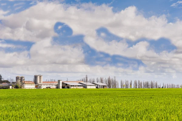 Agrarlandschaft — Stockfoto