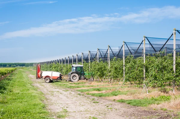 Trabajos agrícolas . — Foto de Stock