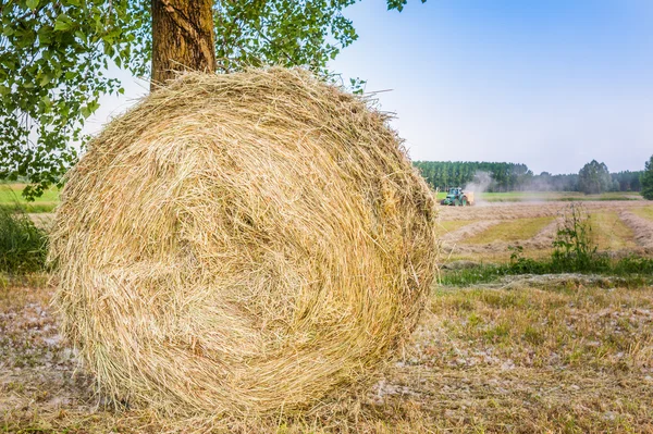 Bale of hay — Stock Photo, Image