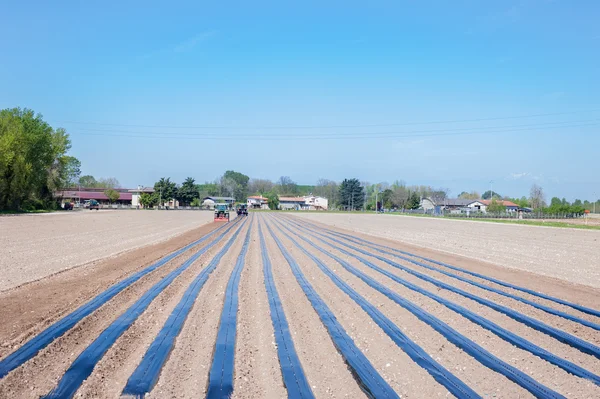 Werk in de landbouw — Stockfoto