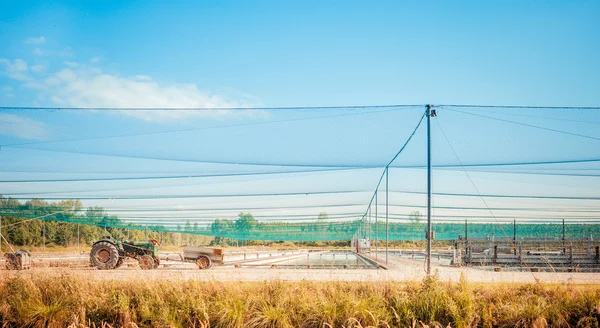 Fish farm — Stock Photo, Image