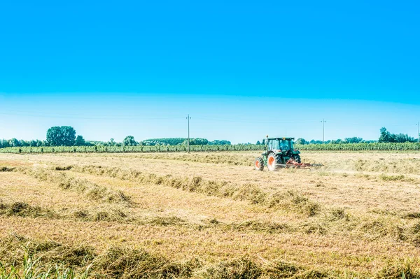 Landbouw arbeid — Stockfoto