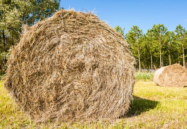 Hay bale — Stock Photo, Image