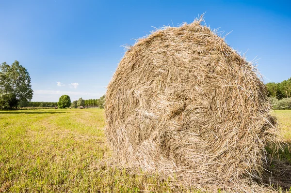 Hay bale — Stock Photo, Image