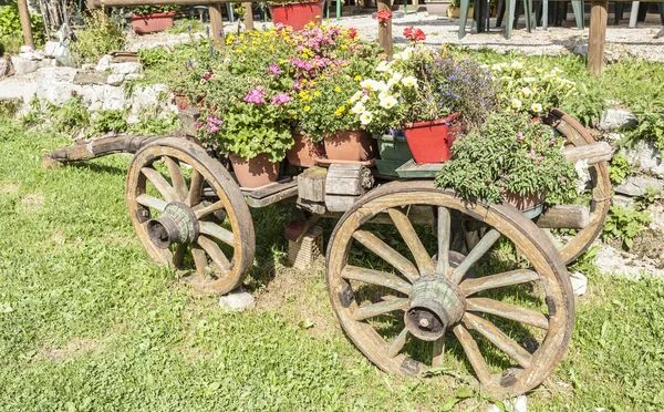 Old wooden cart with pots of flowers — Stock Photo, Image