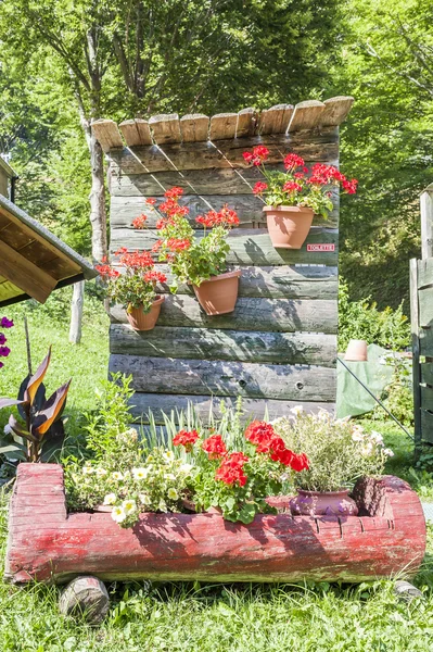 Outdoor toilet with flowers. — Stock Photo, Image