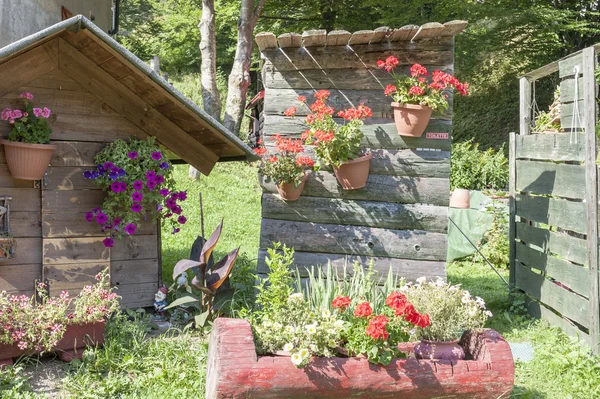 Outdoor toilet with flowers. — Stock Photo, Image