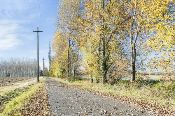 Landstraße im Herbst — Stockfoto