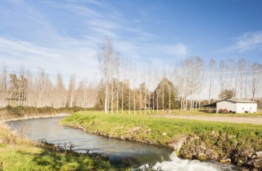 Nehir ile tarım peyzaj