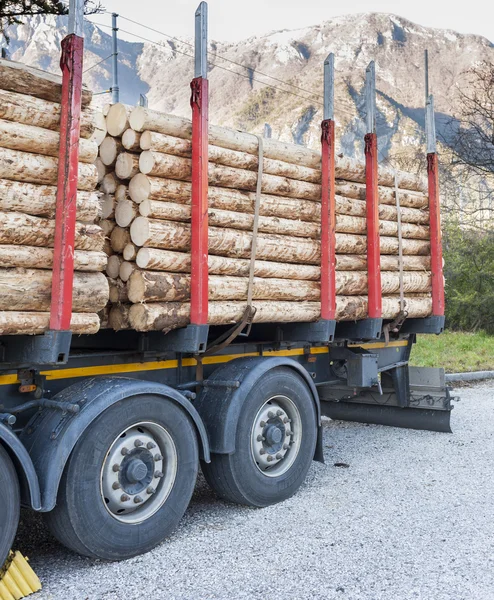 Грузовики, заряженные дровами в ожидании доставки — стоковое фото