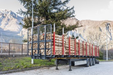 Trucks charged with wood logs waiting for delivery clipart